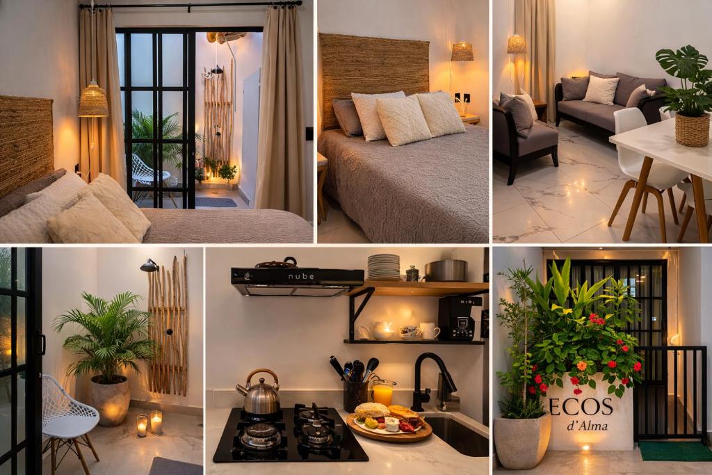 A glimpse of the Ecos Norte experience: bedroom, living room, entrance, kitchen and the suite sign