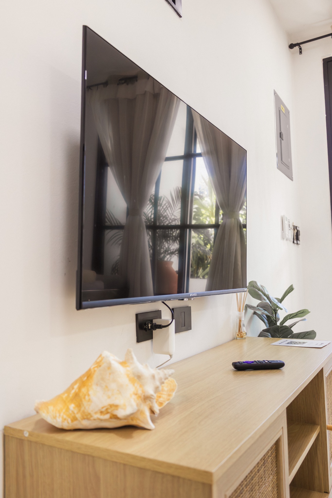 Smart TV detail